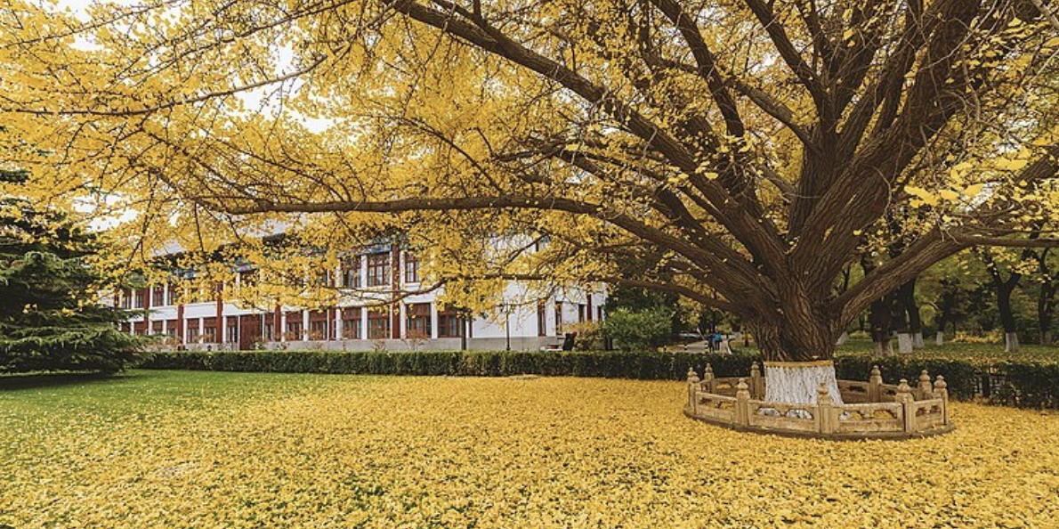 $50+ Cheap flights to Washington, D.C. visual data 3